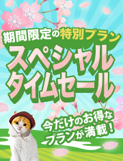 スペシャルタイムセール