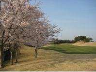 千葉桜の里ゴルフクラブ画像