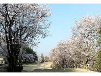 桜の宮ゴルフ倶楽部画像