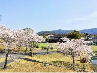 郷原カントリークラブ